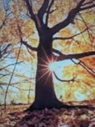 499214804_4065283677039328_4615166286621416475_n