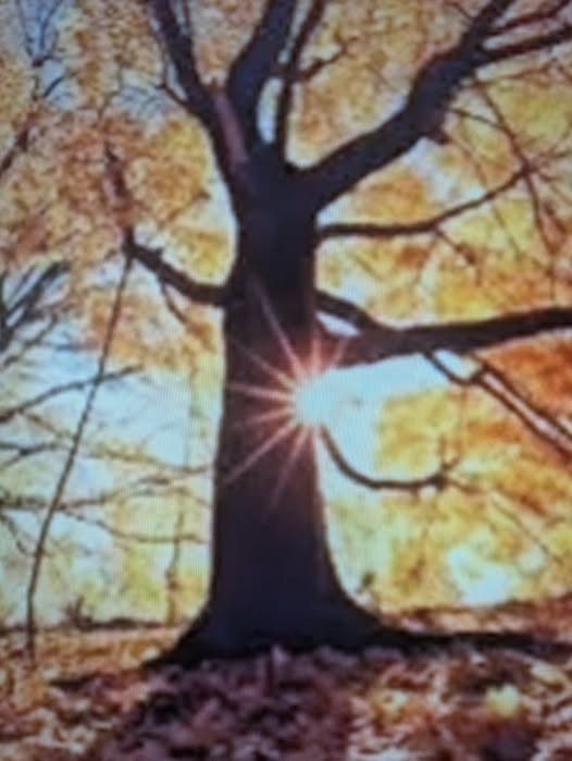 499214804_4065283677039328_4615166286621416475_n